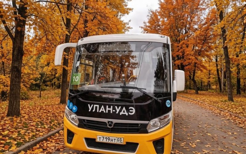 «Осеннее комбо»